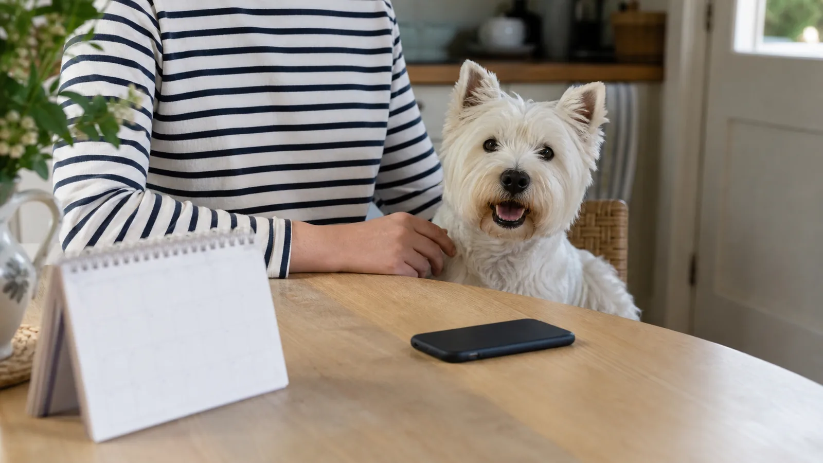 Owner sending dog coat details to a Herne Bay groomer on WhatsApp