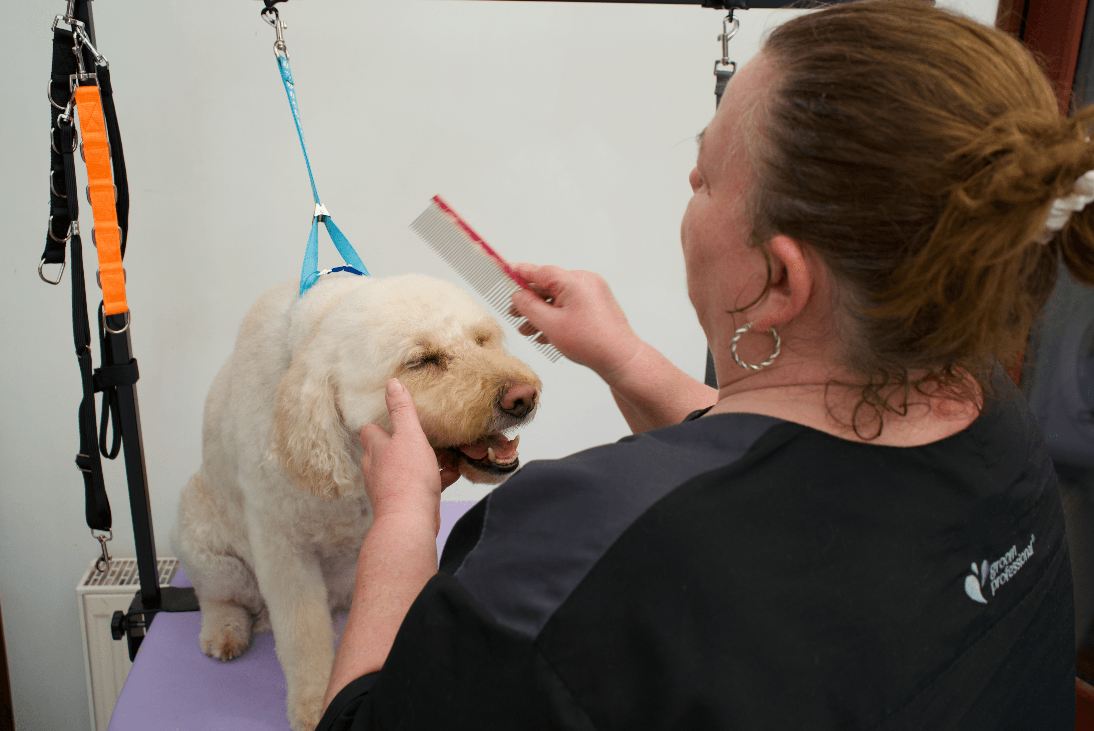 Joanne grooming a dog at The Floof Spa studio