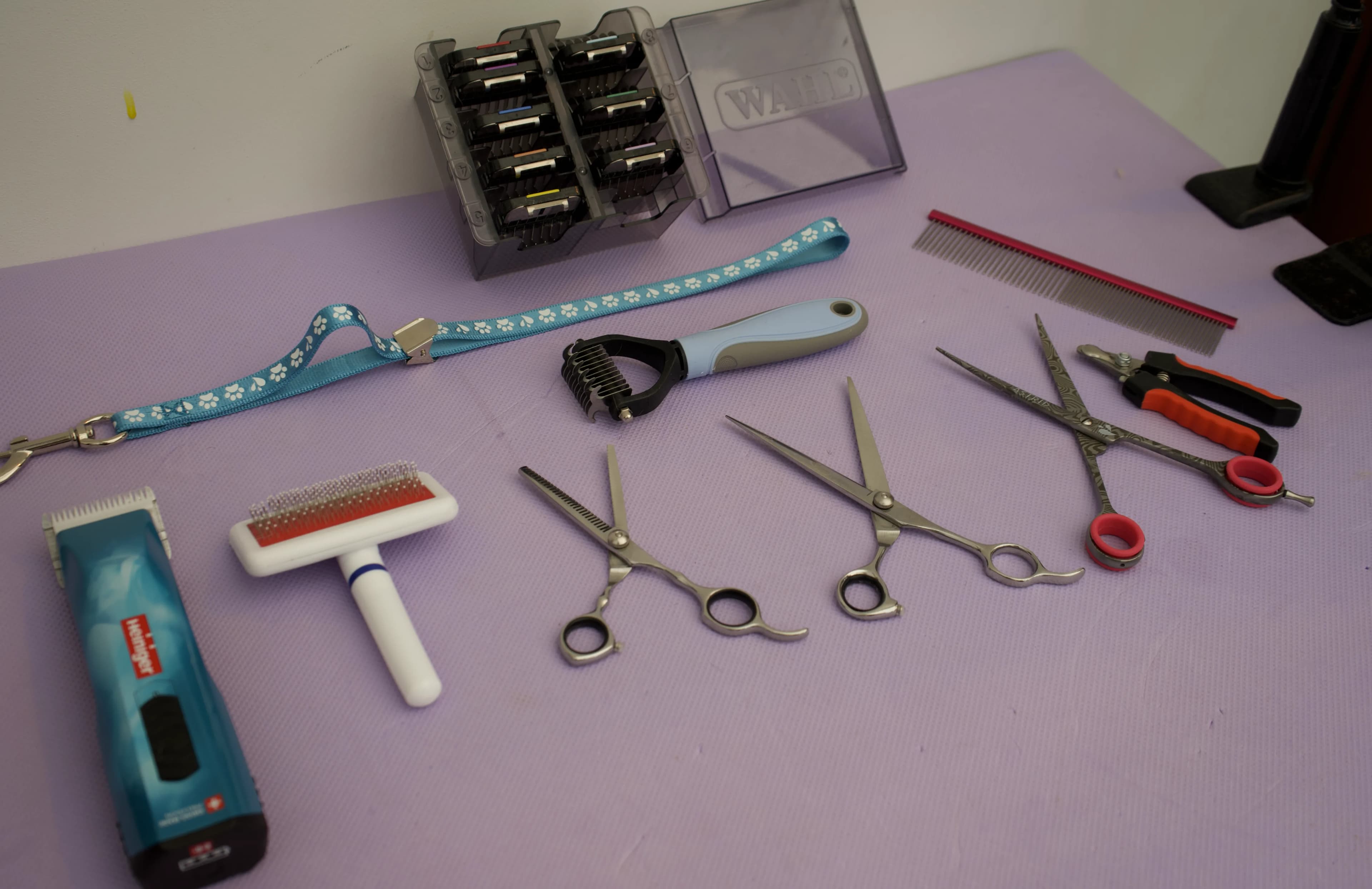 The Floof Spa grooming tools, ready for use