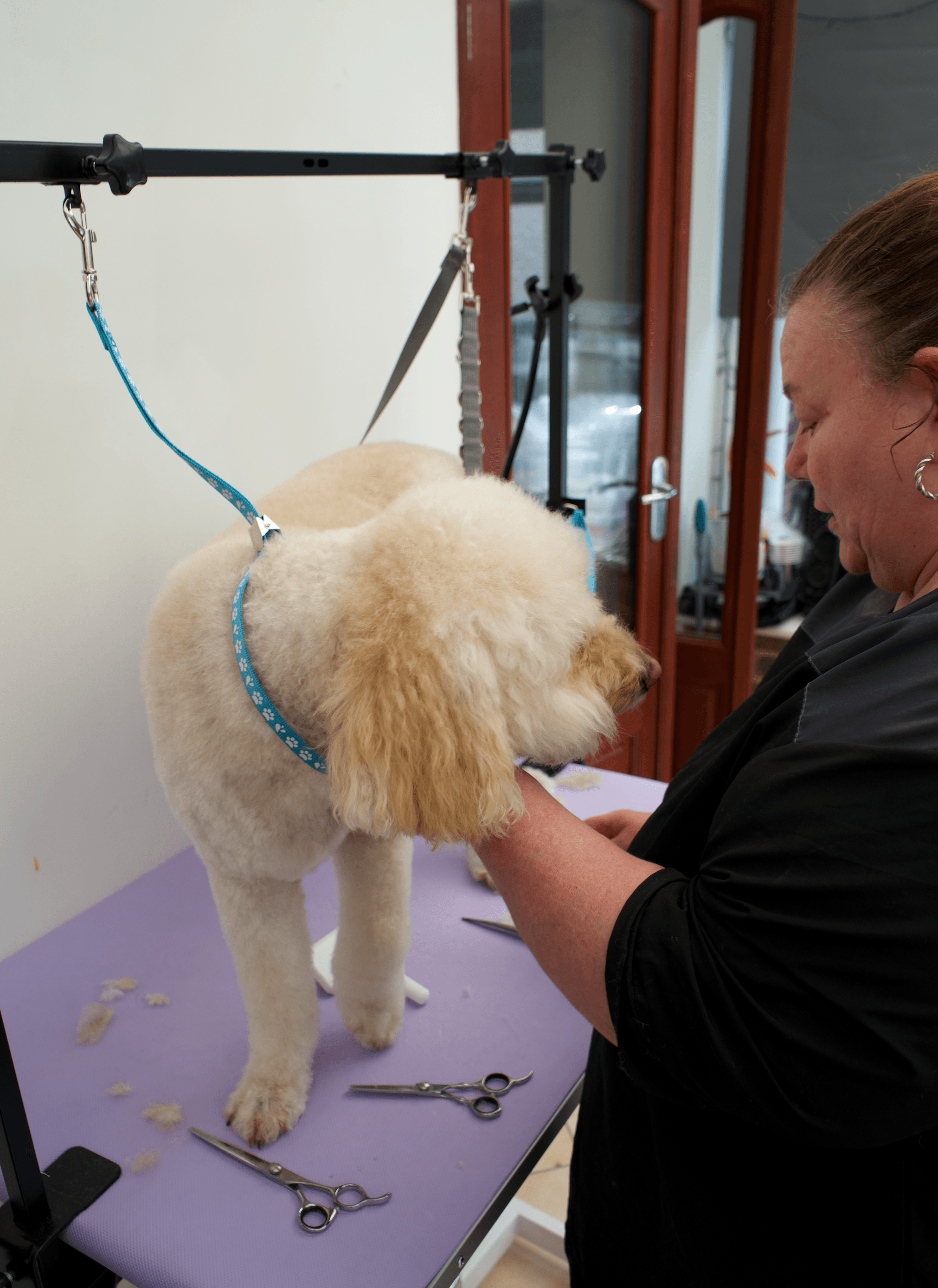 Joanne working with a dog at The Floof Spa