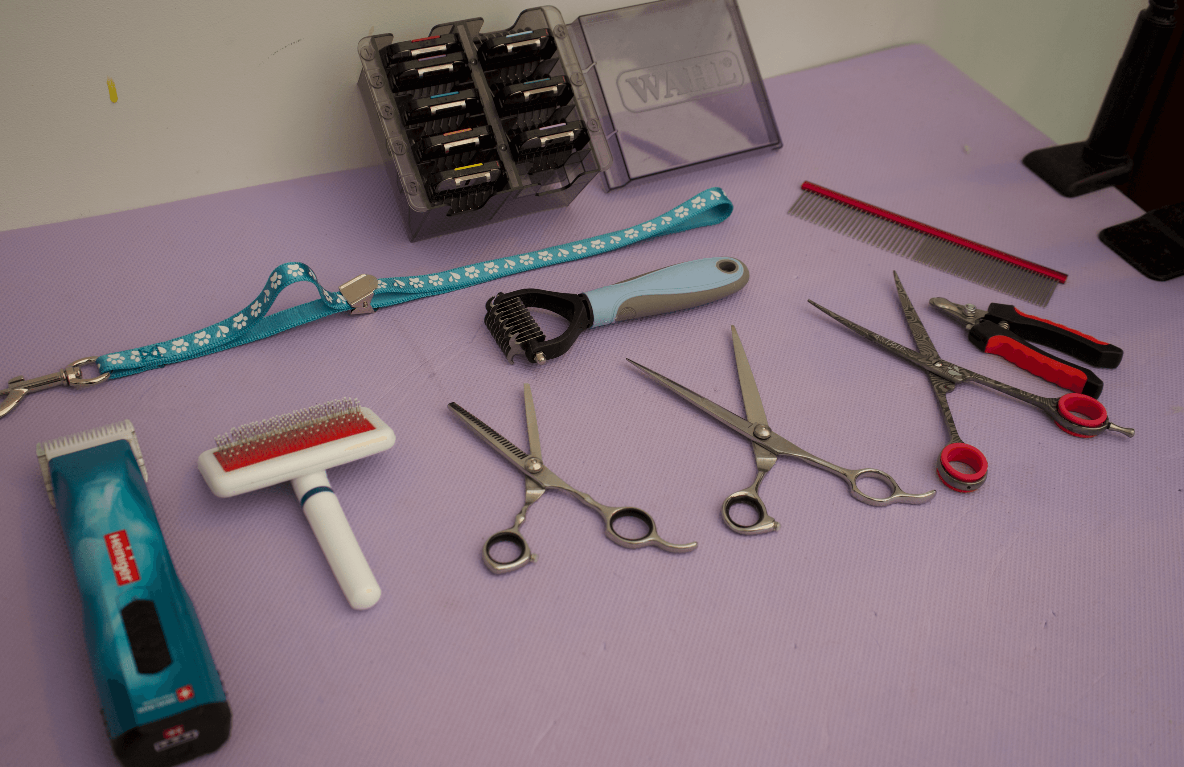 The Floof Spa grooming tools, ready for use